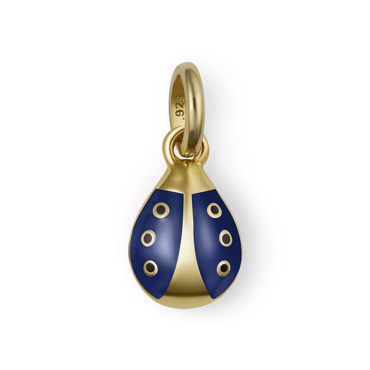Ladybug Girls Charm