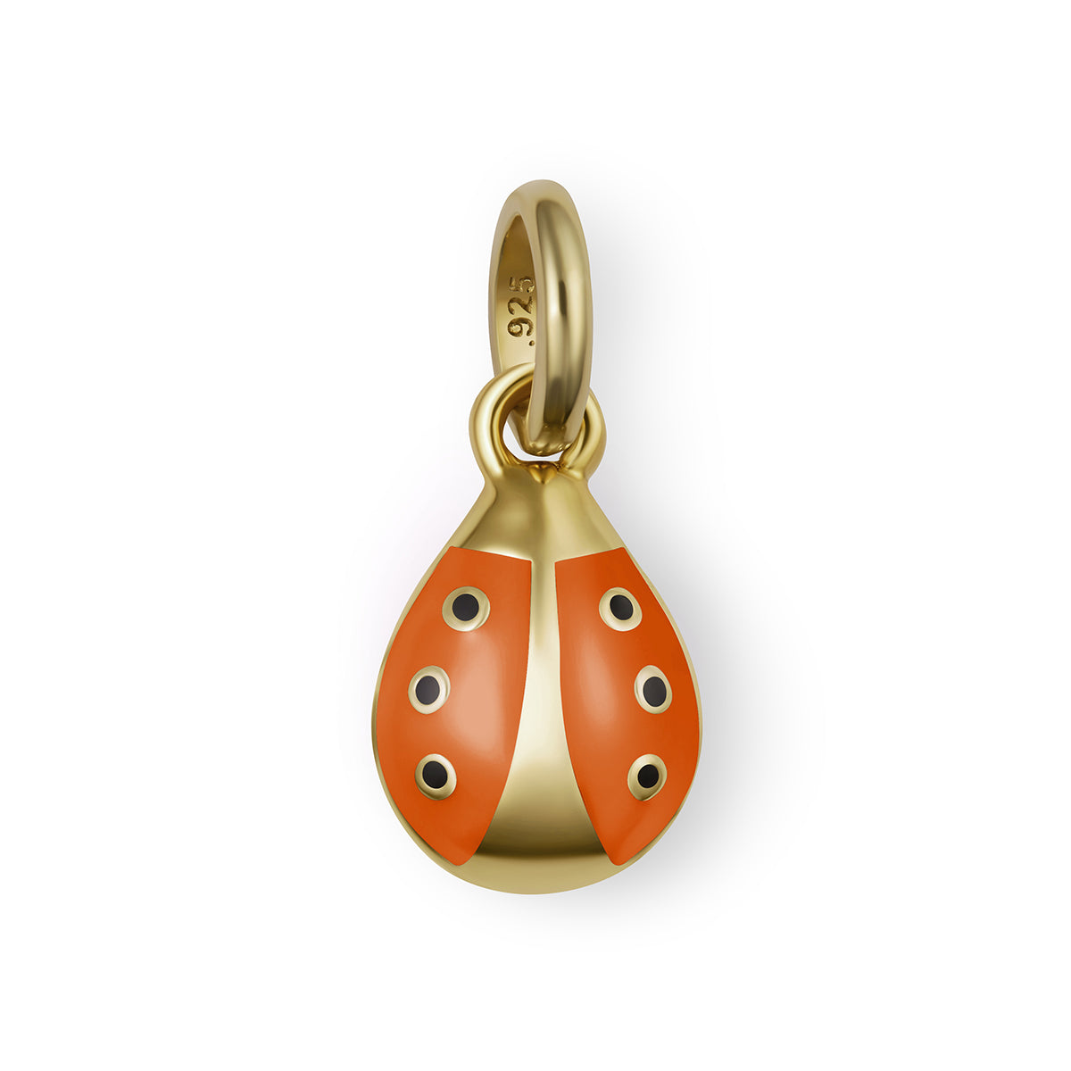 Ladybug Girls Charm