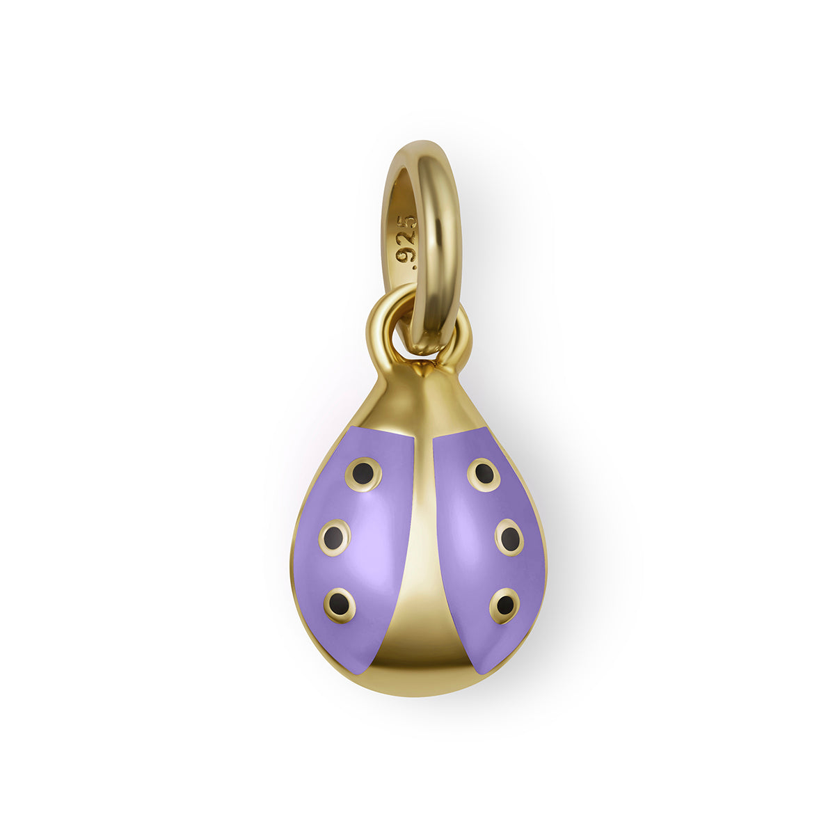 Ladybug Girls Charm