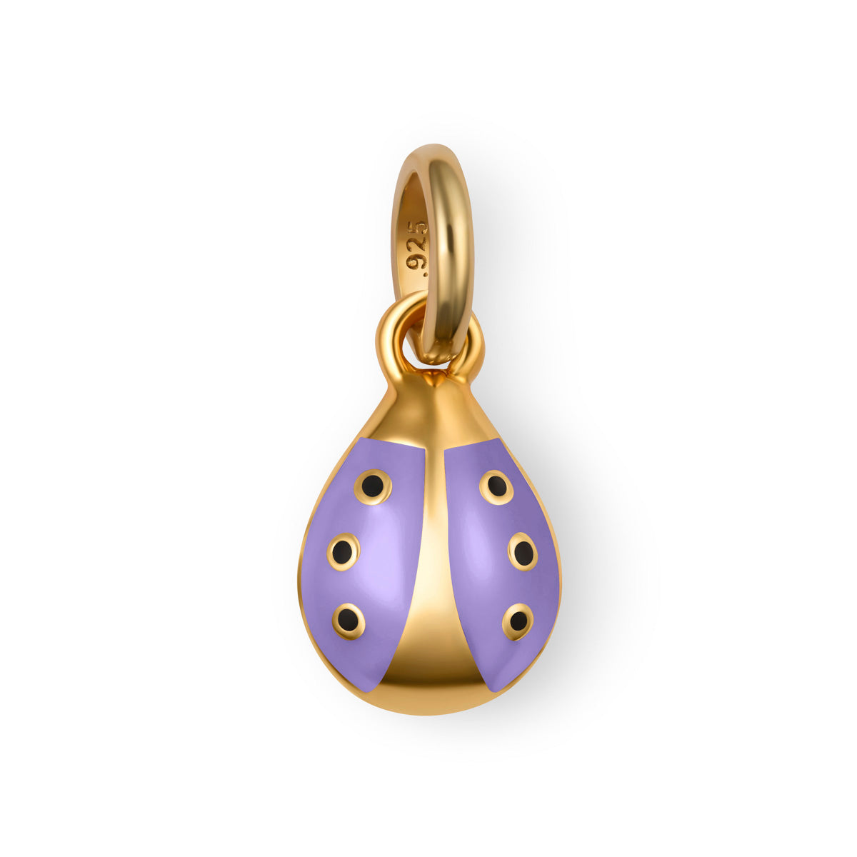 Ladybug Girls Charm