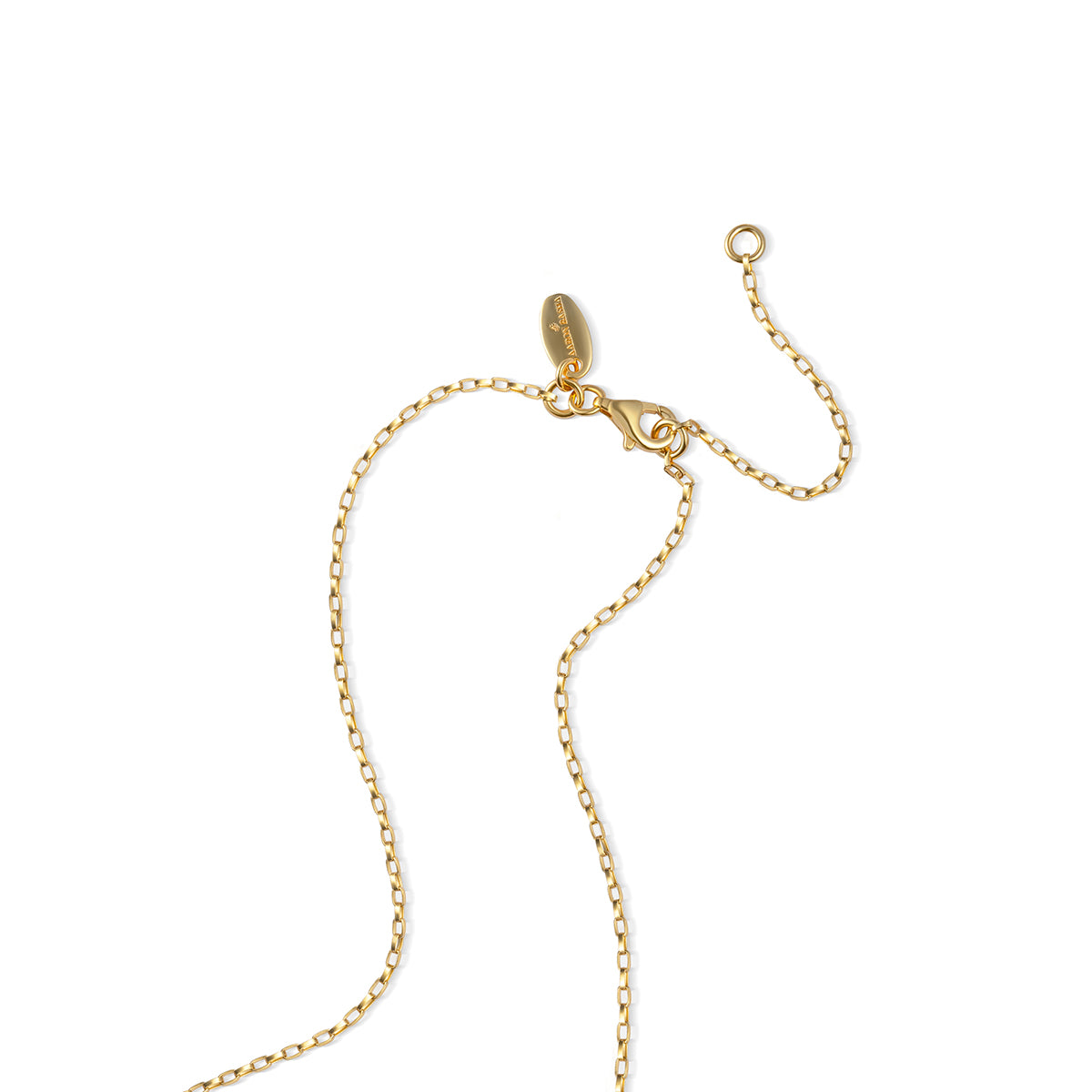 Vermeil Link Chain Close Up